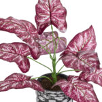 GloboStar® Artificial Garden RED POLKA 20887 Τεχνητό Διακοσμητικό Φυτό Κόκκινη Πόλκα Φ38 x Υ33cm - Image 3