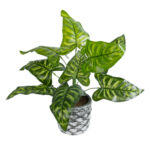 GloboStar® Artificial Garden PEACOCK 20888 Τεχνητό Διακοσμητικό Φυτό Παγώνι Φ38 x Υ33cm - Image 2