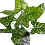 GloboStar® Artificial Garden PEACOCK 20888 Τεχνητό Διακοσμητικό Φυτό Παγώνι Φ38 x Υ33cm - Image 3