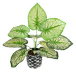 GloboStar® Artificial Garden CALADIUM 20889 Τεχνητό Διακοσμητικό Φυτό Τροπικό Καλάδιο Φ40 x Υ33cm - Image 2
