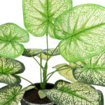 GloboStar® Artificial Garden CALADIUM 20889 Τεχνητό Διακοσμητικό Φυτό Τροπικό Καλάδιο Φ40 x Υ33cm - Image 3