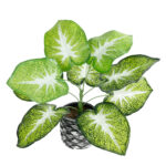 GloboStar® Artificial Garden CALADIUM 20890 Τεχνητό Διακοσμητικό Φυτό Τροπικό Φυτό  Φ40 x Υ33cm - Image 2