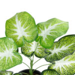 GloboStar® Artificial Garden CALADIUM 20890 Τεχνητό Διακοσμητικό Φυτό Τροπικό Φυτό  Φ40 x Υ33cm - Image 3