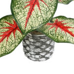 GloboStar® Artificial Garden CALADIUM 20891 Τεχνητό Διακοσμητικό Φυτό Τροπικό Φυτό Καλάδιο Φ40 x Υ33cm - Image 4