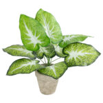 GloboStar® Artificial Garden CALADIUM POTTED PLANT 20894 Διακοσμητικό Φυτό Καλάντιουμ Φ40 x Υ33cm - Image 2
