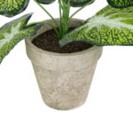 GloboStar® Artificial Garden CALADIUM POTTED PLANT 20894 Διακοσμητικό Φυτό Καλάντιουμ Φ40 x Υ33cm - Image 4