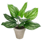 GloboStar® Artificial Garden SILVER POTHOS POTTED PLANT 20896 Διακοσμητικό Φυτό Πόθος Φ40 x Υ33cm - Image 2