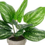GloboStar® Artificial Garden SILVER POTHOS POTTED PLANT 20896 Διακοσμητικό Φυτό Πόθος Φ40 x Υ33cm - Image 3
