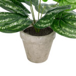 GloboStar® Artificial Garden SILVER POTHOS POTTED PLANT 20896 Διακοσμητικό Φυτό Πόθος Φ40 x Υ33cm - Image 4