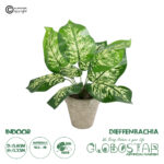 GloboStar® Artificial Garden DIEFFENBACHIA POTTED PLANT 20897 Διακοσμητικό Φυτό Διφενμπάχια Φ40 x Υ33cm