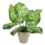 GloboStar® Artificial Garden DIEFFENBACHIA POTTED PLANT 20897 Διακοσμητικό Φυτό Διφενμπάχια Φ40 x Υ33cm - Image 2