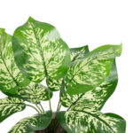 GloboStar® Artificial Garden DIEFFENBACHIA POTTED PLANT 20897 Διακοσμητικό Φυτό Διφενμπάχια Φ40 x Υ33cm - Image 3