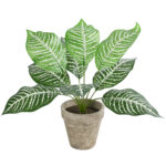 GloboStar® Artificial Garden ZEBRA POTTED PLANT 20898 Διακοσμητικό Φυτό Ζέμπρα Φ40 x Υ33cm - Image 2