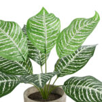 GloboStar® Artificial Garden ZEBRA POTTED PLANT 20898 Διακοσμητικό Φυτό Ζέμπρα Φ40 x Υ33cm - Image 3