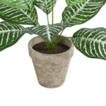 GloboStar® Artificial Garden ZEBRA POTTED PLANT 20898 Διακοσμητικό Φυτό Ζέμπρα Φ40 x Υ33cm - Image 4