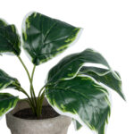 GloboStar® Artificial Garden WHITE HOSTA PLANT 20900 Διακοσμητικό Φυτό Λευκή  Χόστα Φ45 x Υ40cm - Image 3