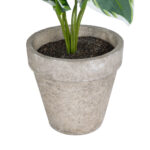 GloboStar® Artificial Garden WHITE HOSTA PLANT 20900 Διακοσμητικό Φυτό Λευκή  Χόστα Φ45 x Υ40cm - Image 4