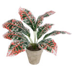 GloboStar® Artificial Garden RED AGLAONEMA POTTED PLANT 20901 Διακοσμητικό Φυτό Κόκκινο Αγλαόνημα Φ40 x Υ33cm - Image 2