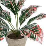 GloboStar® Artificial Garden RED AGLAONEMA POTTED PLANT 20901 Διακοσμητικό Φυτό Κόκκινο Αγλαόνημα Φ40 x Υ33cm - Image 3