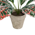 GloboStar® Artificial Garden RED AGLAONEMA POTTED PLANT 20901 Διακοσμητικό Φυτό Κόκκινο Αγλαόνημα Φ40 x Υ33cm - Image 4