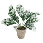 GloboStar® Artificial Garden WHITE AGLAONEMA POTTED PLANT 20903 Διακοσμητικό Φυτό Λευκό Αγλαόνημα Φ40 x Υ33cm - Image 2