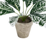 GloboStar® Artificial Garden WHITE AGLAONEMA POTTED PLANT 20903 Διακοσμητικό Φυτό Λευκό Αγλαόνημα Φ40 x Υ33cm - Image 4