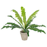 GloboStar® Artificial Garden  ASPLENIUM POTTED PLANT 20904 Διακοσμητικό Φυτό Aslenium Φ40 x Υ33cm - Image 2