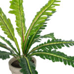 GloboStar® Artificial Garden  ASPLENIUM POTTED PLANT 20904 Διακοσμητικό Φυτό Aslenium Φ40 x Υ33cm - Image 3