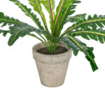 GloboStar® Artificial Garden  ASPLENIUM POTTED PLANT 20904 Διακοσμητικό Φυτό Aslenium Φ40 x Υ33cm - Image 4