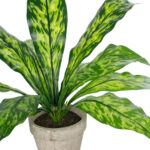 GloboStar® Artificial Garden  SPATHIPHYLLUM POTTED PLANT 20905 Διακοσμητικό Φυτό Σπαθίφυλλο Φ40 x Υ33cm - Image 3