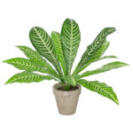 GloboStar® Artificial Garden  ZEBRA POTTED PLANT 20906 Διακοσμητικό Φυτό Ζέμπρα Φ40 x Υ33cm - Image 2