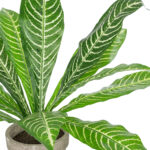 GloboStar® Artificial Garden  ZEBRA POTTED PLANT 20906 Διακοσμητικό Φυτό Ζέμπρα Φ40 x Υ33cm - Image 3
