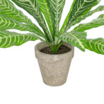 GloboStar® Artificial Garden  ZEBRA POTTED PLANT 20906 Διακοσμητικό Φυτό Ζέμπρα Φ40 x Υ33cm - Image 4