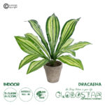 GloboStar® Artificial Garden  DRACAENA POTTED PLANT 20907 Διακοσμητικό Φυτό Δράκενα Φ40 x Υ33cm
