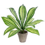 GloboStar® Artificial Garden  DRACAENA POTTED PLANT 20907 Διακοσμητικό Φυτό Δράκενα Φ40 x Υ33cm - Image 2