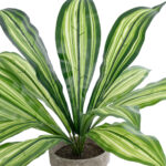 GloboStar® Artificial Garden  DRACAENA POTTED PLANT 20907 Διακοσμητικό Φυτό Δράκενα Φ40 x Υ33cm - Image 3