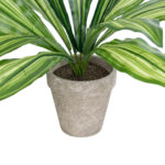 GloboStar® Artificial Garden  DRACAENA POTTED PLANT 20907 Διακοσμητικό Φυτό Δράκενα Φ40 x Υ33cm - Image 4