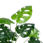 GloboStar® Artificial Garden MONSTERA PLANT 20909 - Διακοσμητικό Φυτό Μονστέρα Φ50 x Υ75cm - Image 3