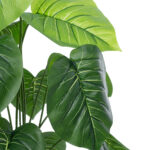 GloboStar® Artificial Garden CALATHEA PLANT 20910 Διακοσμητικό Φυτό Καλαθέα Φ70 x Υ75cm - Image 3