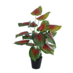GloboStar® Artificial Garden CALADIUM MIX 20911 Διακοσμητικό Φυτό Καλάντιουμ Υ75cm - Image 2
