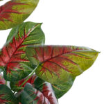 GloboStar® Artificial Garden CALADIUM MIX 20911 Διακοσμητικό Φυτό Καλάντιουμ Υ75cm - Image 3