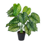 GloboStar® Artificial Garden CALATHEA PLANT 20912 Διακοσμητικό Φυτό Καλαθέα Φ55 x Υ75cm - Image 2