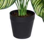 GloboStar® Artificial Garden CALATHEA PLANT 20912 Διακοσμητικό Φυτό Καλαθέα Φ55 x Υ75cm - Image 4