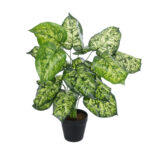 GloboStar® Artificial Garden DIEFFENBACHIA PLANT 20914 Διακοσμητικό Φυτό Διφενμπάχια Φ58 x Υ75cm - Image 2