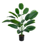 GloboStar® Artificial Garden YOUNG BANANA PLANT 20916 - Διακοσμητικό Φυτό Νεαρή Μπανανιά Φ82 x Υ80cm - Image 2