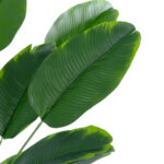 GloboStar® Artificial Garden YOUNG BANANA PLANT 20916 - Διακοσμητικό Φυτό Νεαρή Μπανανιά Φ82 x Υ80cm - Image 3
