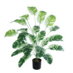 GloboStar® Artificial Garden BANANA ZEBRA PLANT 20918 - Διακοσμητικό Φυτό Μπανανιά Ζέβρα Φ83 x Υ80cm - Image 2