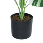 GloboStar® Artificial Garden BANANA ZEBRA PLANT 20918 - Διακοσμητικό Φυτό Μπανανιά Ζέβρα Φ83 x Υ80cm - Image 4