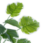 GloboStar® Artificial Garden WHITE HOSTA PLANT 20920 Διακοσμητικό Φυτό Λευκή Χόστα Φ87 x Υ80cm - Image 3