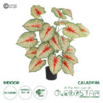 GloboStar® Artificial Garden CALADIUM PLANT 20921 Διακοσμητικό Φυτό Καλάντιουμ Φ75 x Υ80cm